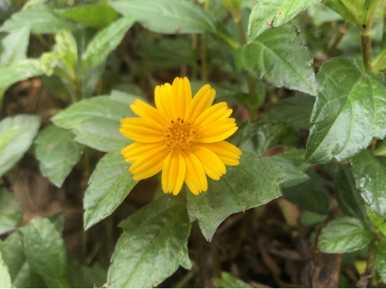 深圳風(fēng)向標教育資源股份有限公司 深圳風(fēng)向標教育資源股份有限公司